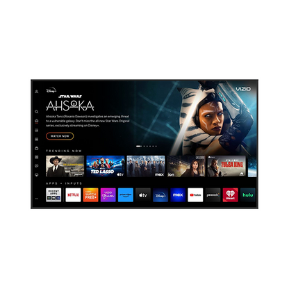 65" 4K IP55 Waterproof TV - Compatible with Google TV